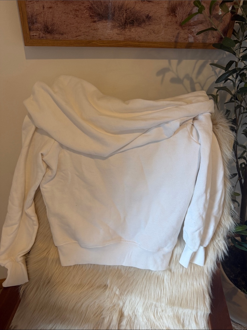 Carbon38 Cream Pullover Hoodie